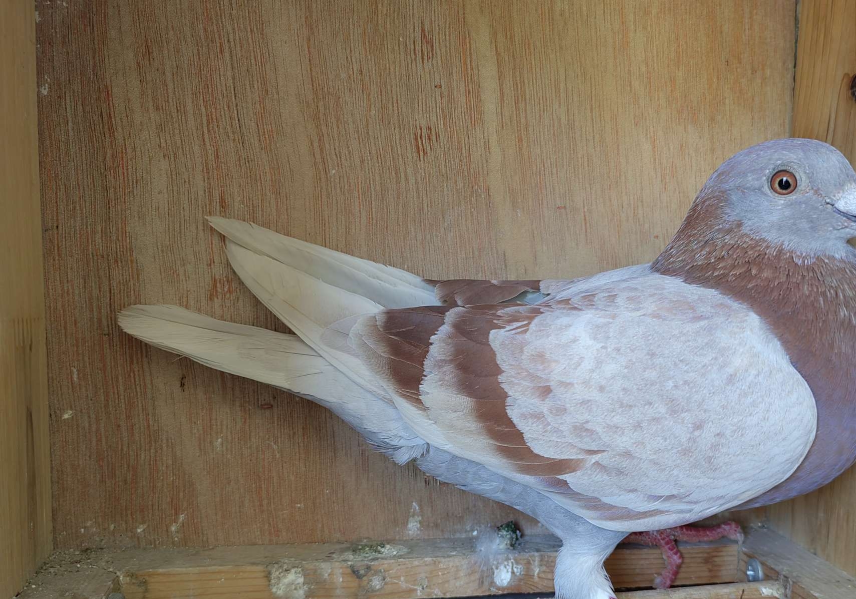 �³�����ҩ��ˮ�㣿