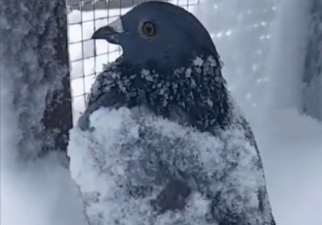 С˵�������ʹ��һ��ս��ʰ��