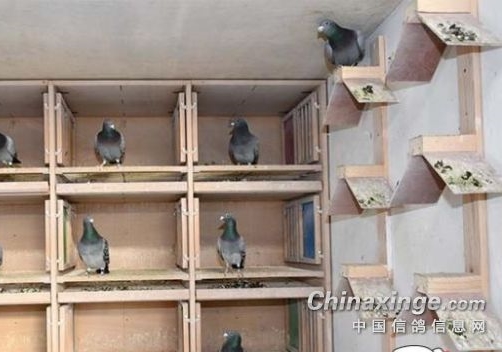 ����ҪȺ�� ���ܸ��õ���ɸѡ