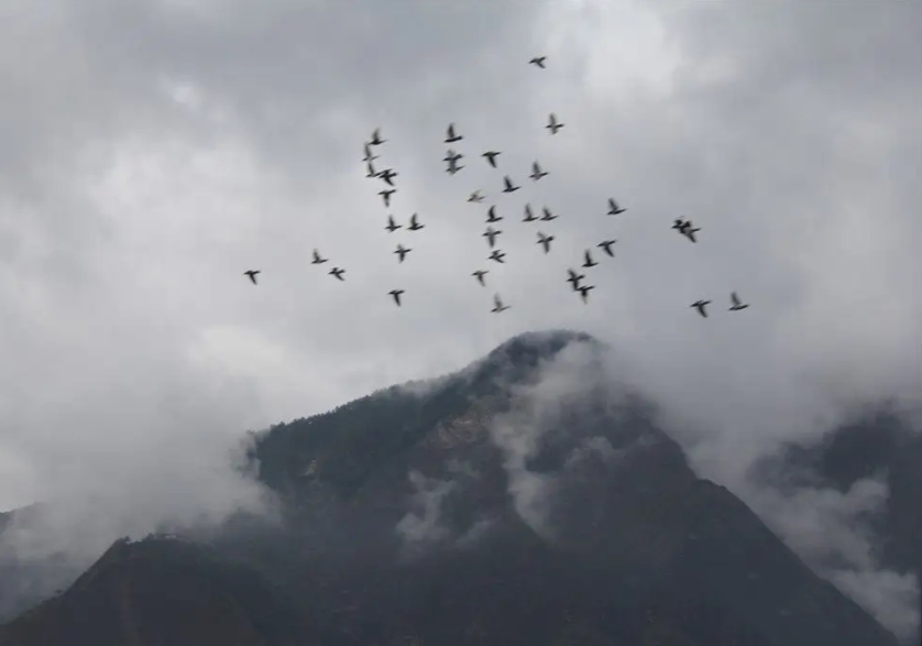 С˵�������ʹ��������Ӫ����