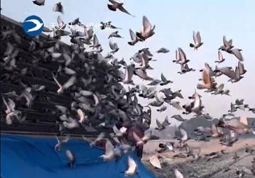 ��������500������� ���Ƹ�����