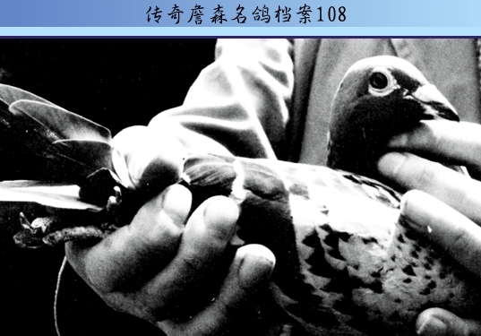 ����ղɭ���뵵��108��С���