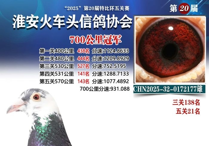 �߰ٹ��ﻨ���� ������ͷ�������