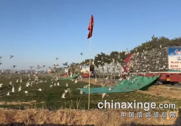 ���մ����һǹ �����׽��շ�վ����