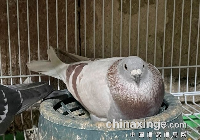 ſ�����¶��ȶ� �׸���Ȼ����ǿ׳