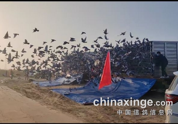 ����С˵�������ɣ��ʮ������ȡ��ѵ