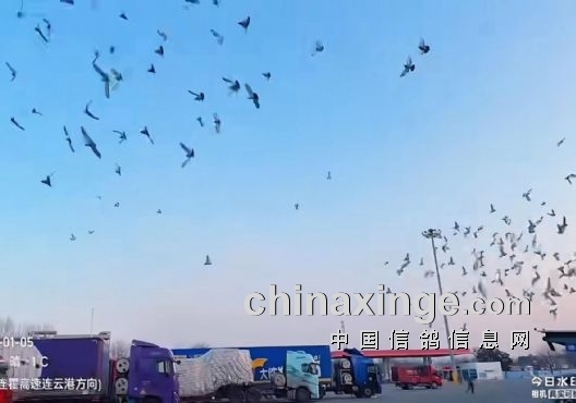 ս������ ��������ɽ��վ�����ؽ��ճ���