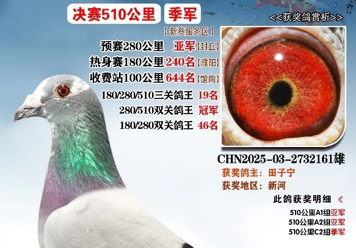 �����ھ�����ǰ�� �Ϲ����������������