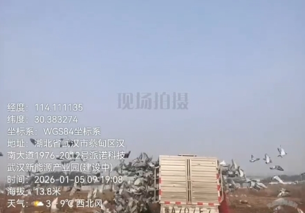 ��ս������� ֣��ԥ�¼�վ���ĳɹ鳲