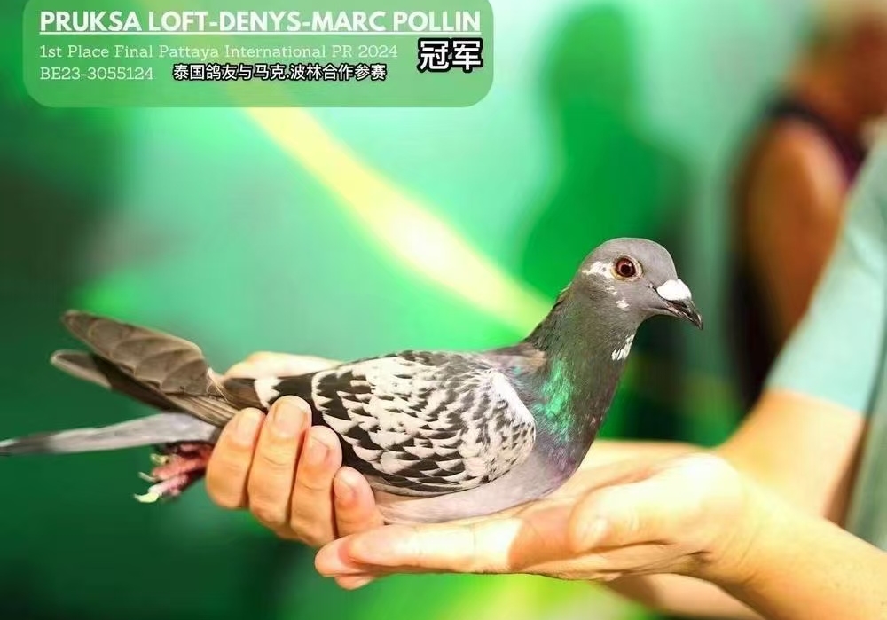 �й������˶����Ͼ�ʱ�̵ľ���