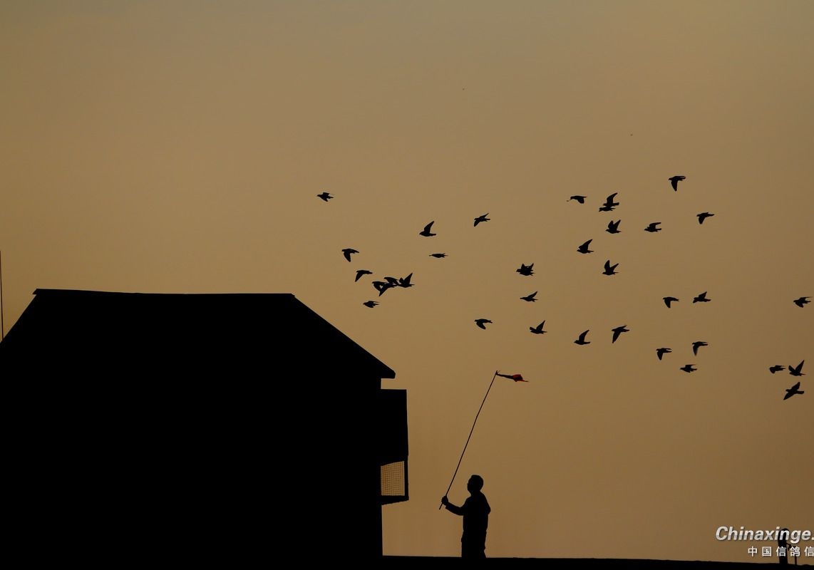 С˵�������ʹ���ģ�������Զ��