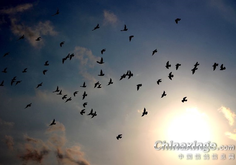 ���꿪�ź� ���������358��