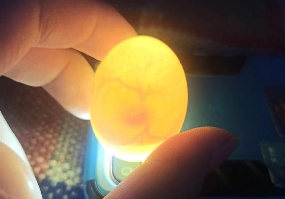 �ָ��µ�����μ�飿��ķ���ɻ�����