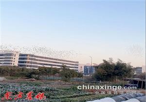 ���հ���˫�ظ�����վ��