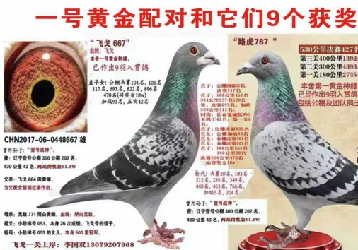 �����Լ��ļ�ϵ�룡