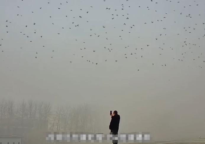 �����ӱ���һ���ҷ� ��ǧ���롰������