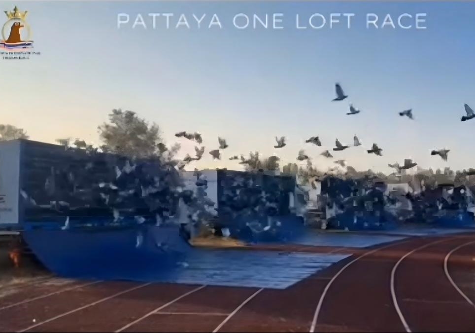 ̩�������ž������ݱ� ����л�����¶���