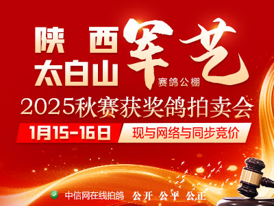 �����ھ����Ĺظ���������̫��ɽ������Ѫս��������