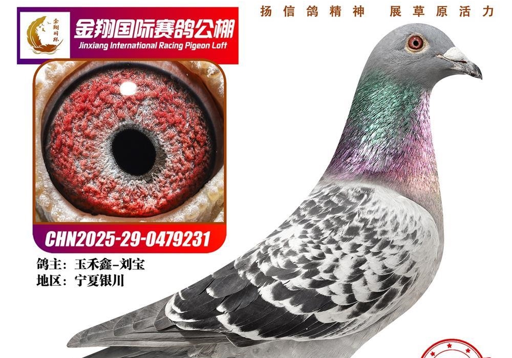 ����������ʮǿ�����ɹ������ԭ֮�۵��ٶ�����