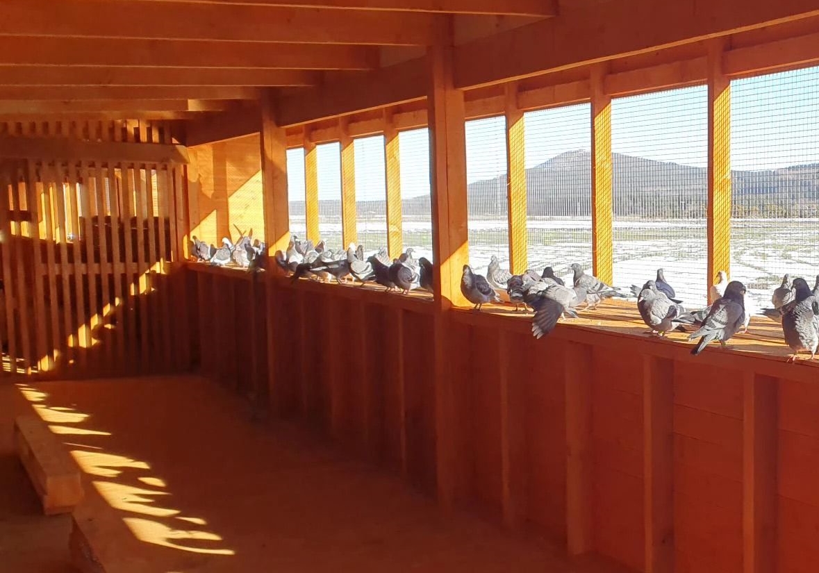 �����ͳɱ�Ԥ����������С����