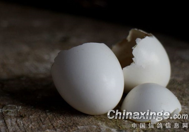 ���ֱض��������ƿ�ʱ����Ҫ��ʲô