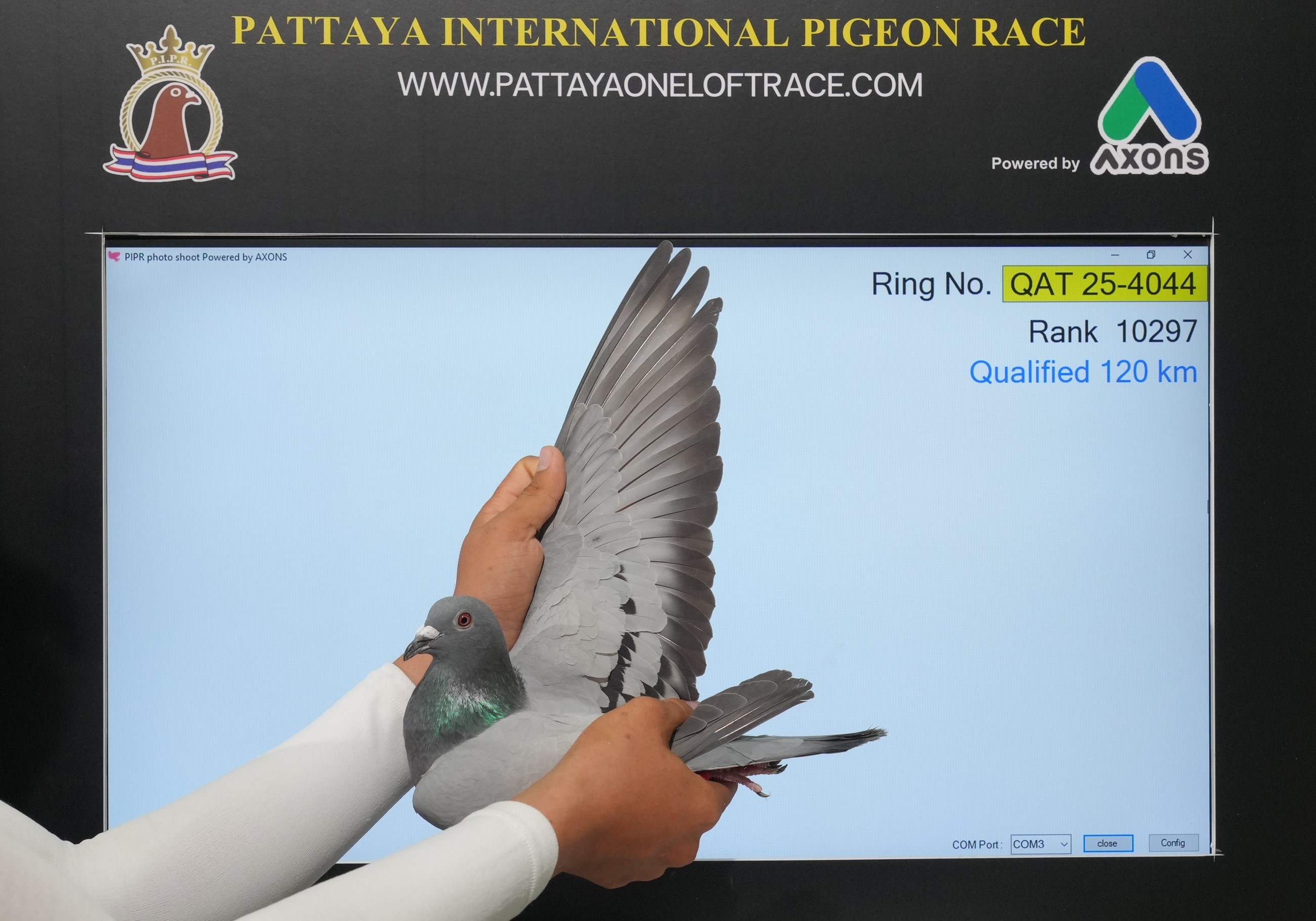 �����ž���16�����ͣ�������ǿ����ժ��ظ����ھ�