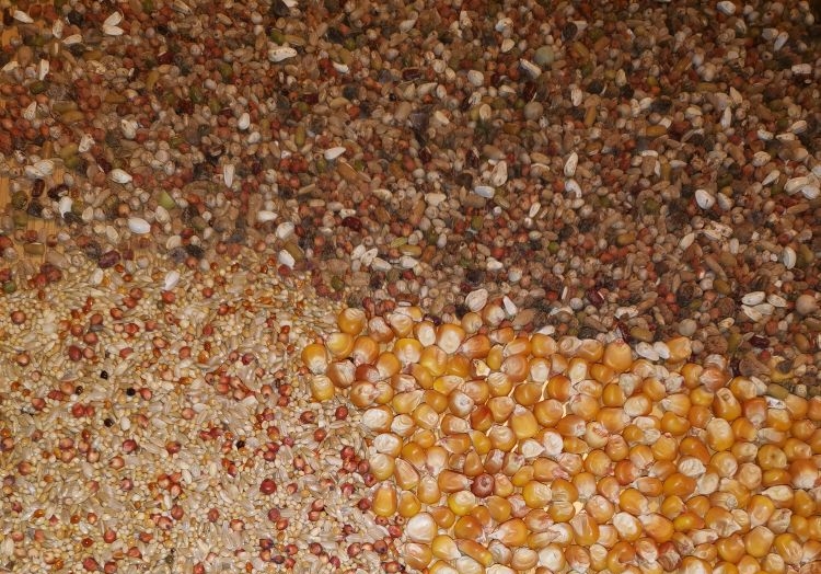  ����ȱ��΢��Ԫ�� ������Щ���֣�