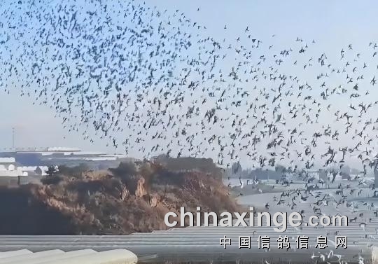 2.7������� �����������շ�վ����