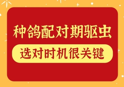 �ָ������ ����ʱ���ܹؼ�