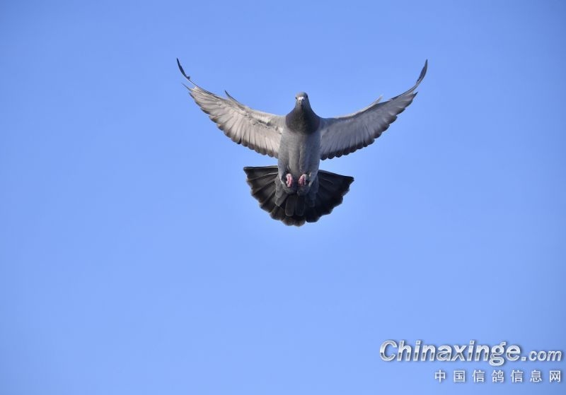 һ��Ǭ����2025�����С��ٷְ�ʤ�ʡ��Ĺµ�Ӣ��