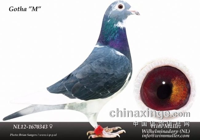 ���ֲ��������ԭ��