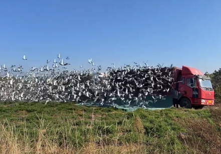 2026���ϴ������ս����12�ҹ���˭��ʤһ�