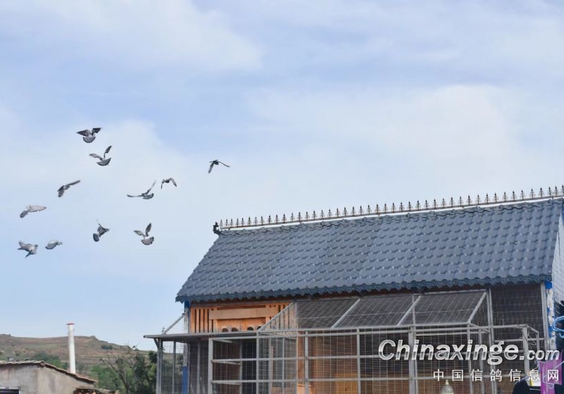 һ·Ѫϵͨ�Թ��������ж����������յ����뾭