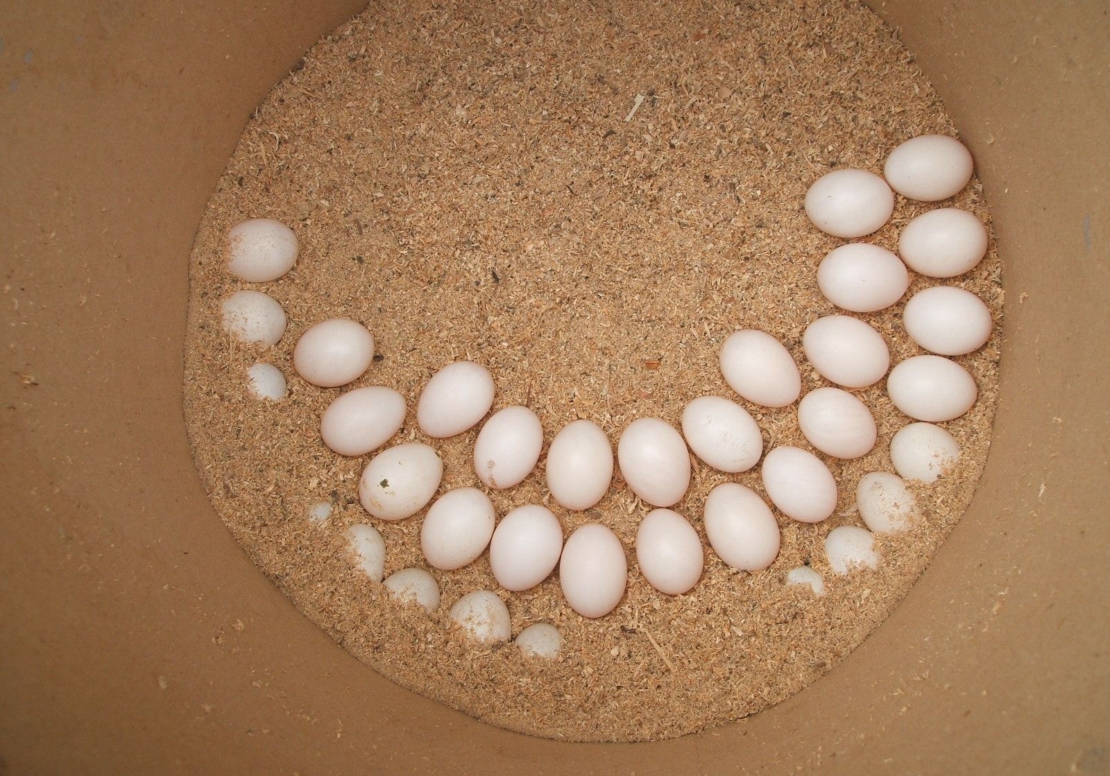 ���������㹻���� ��α���������