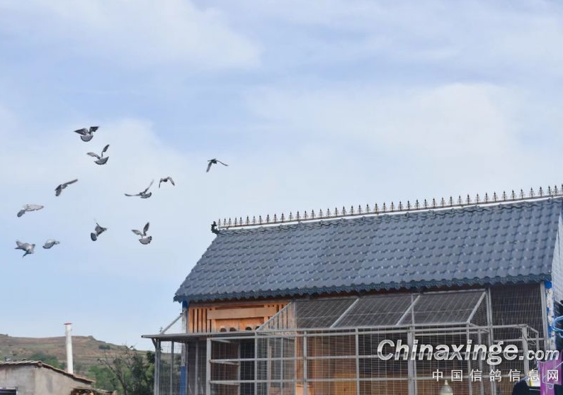 ������Ӳ��Ϸɣ���ʱ�䰲���й�