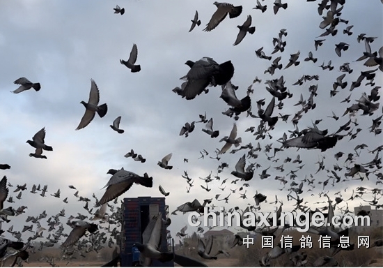 �㶫5�Ҵ����ʸ�վ���ݴ��ƴ����֤������ʱ������