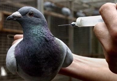 ���ӷ�����ô�жϣ�����һ��ʵ��С����