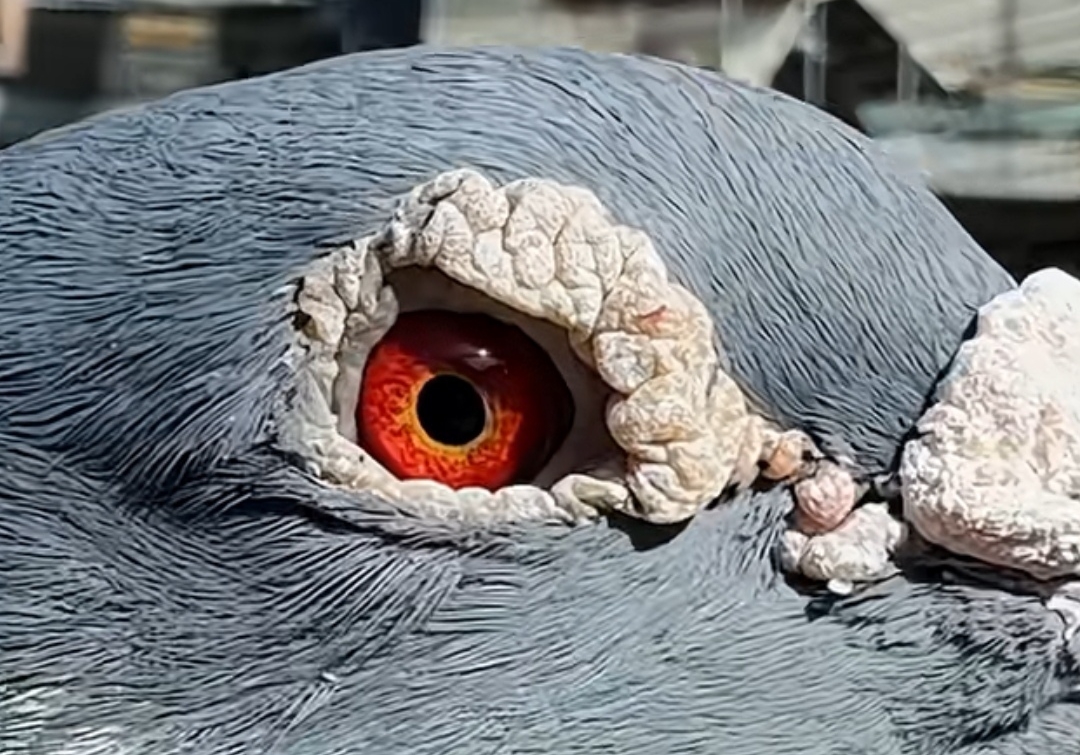 �ɹ�ǧ����ھ��ĺ����� ����ڼ���������������λ