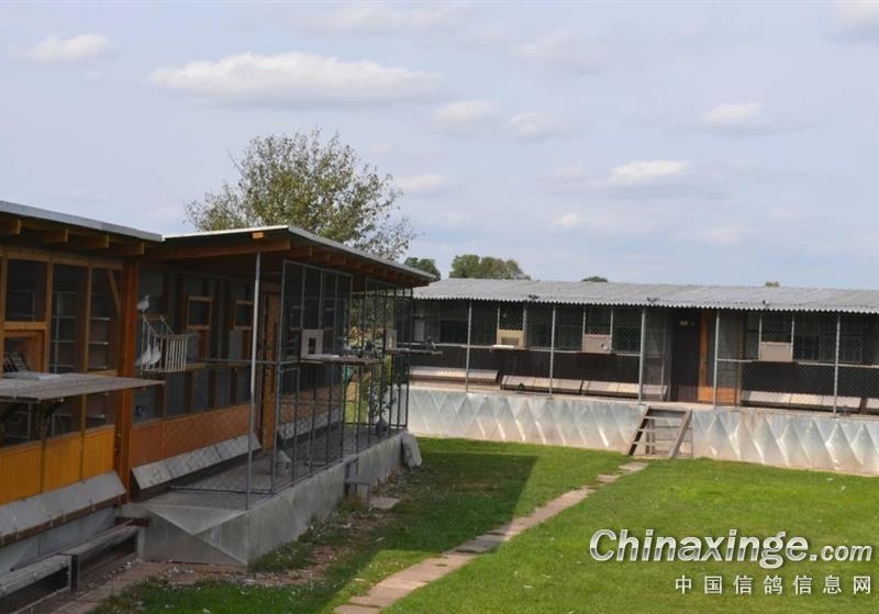 �ú�Ѫϵ��𲻶ϡ�Խ��Խ�ȵ�����֮��