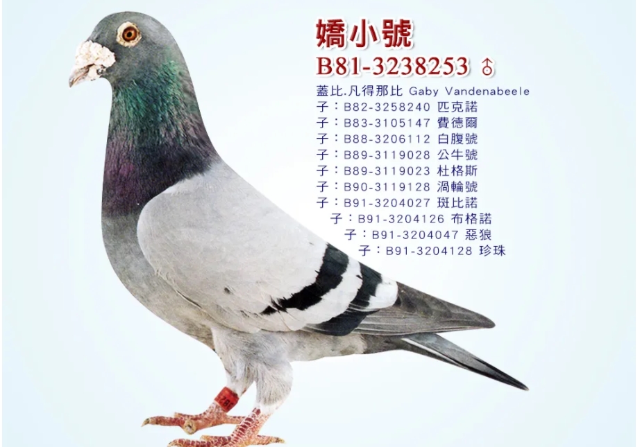 �����ѿ������ �Ǳ���������С�š�