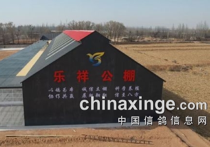 ������һ�����빫���������빫�����￢��