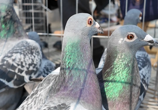 С֪ʶ������������ ǧ������