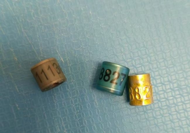 11����������������120�� �ҵġ������ָ롱