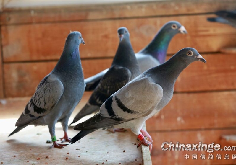 ��˵�������ۣ�����С�ĺ�  ���ûʲô�ã�