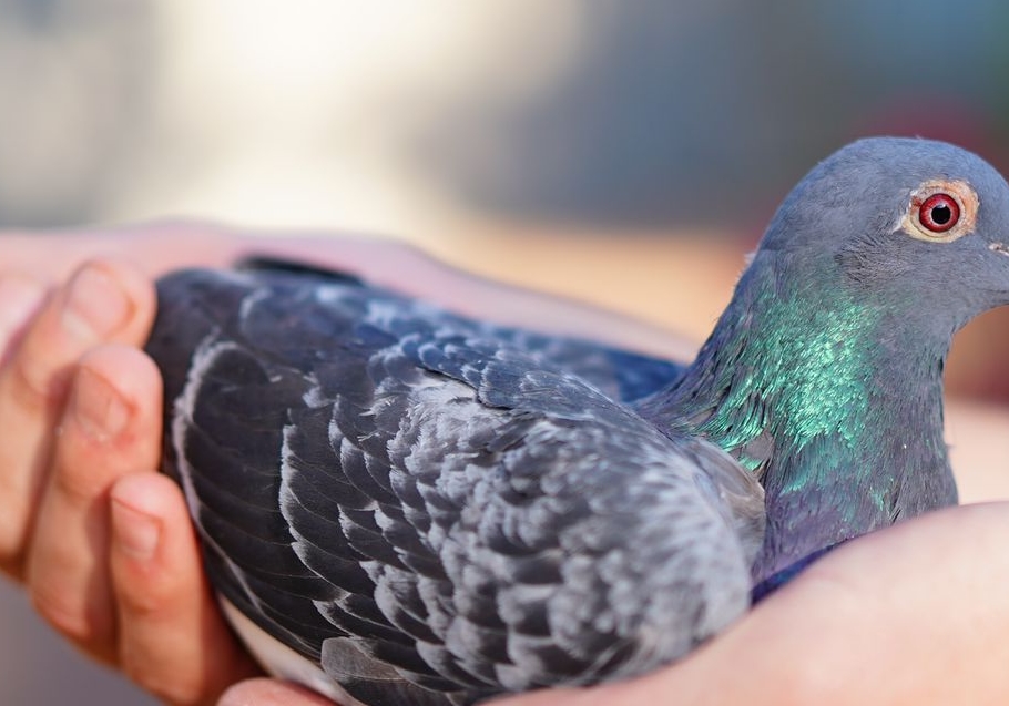 ���ӵ����˷���ô�죿�������ɽ��