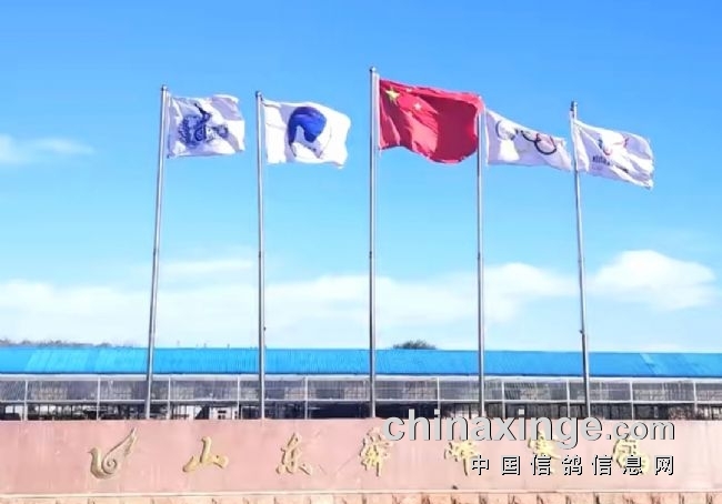 �������ۺϵ��� ʮ���������ͣ�ո�