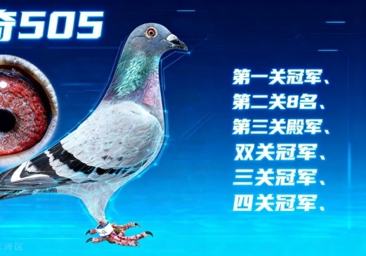 ����505��ʷ��ǰ����ȫ��Ů��