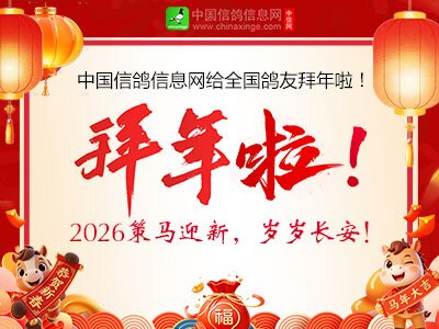 ���������й��Ÿ���Ϣ��ף������������֣�