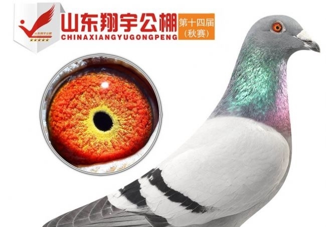 �ɷ�35�����14�� ����Сʤ