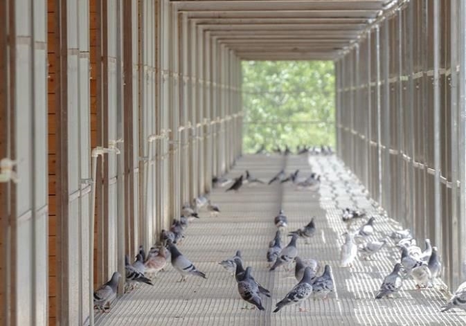 �׽칫��ֵ��ֵ�ý���18�����ݴ������